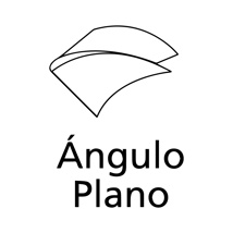 ANGULO PLANO EAGLE PARA CANALETA DE 20X125MM 10033